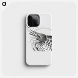 Vintage prawn marine life illustration - エルンスト ヘッケル Phone Case.