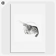 2-51_Ernst-Haeckel_picture