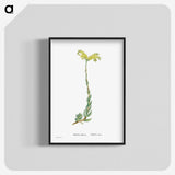 2-51_Histoire-des-Plantes-Grasses_blk-crop