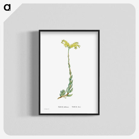 2-51_Histoire-des-Plantes-Grasses_blk-crop