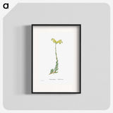 2-51_Histoire-des-Plantes-Grasses_blk