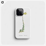 2-51_Histoire-des-Plantes-Grasses_phone