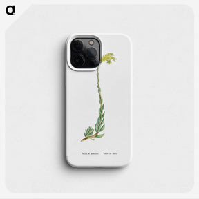 2-51_Histoire-des-Plantes-Grasses_phone