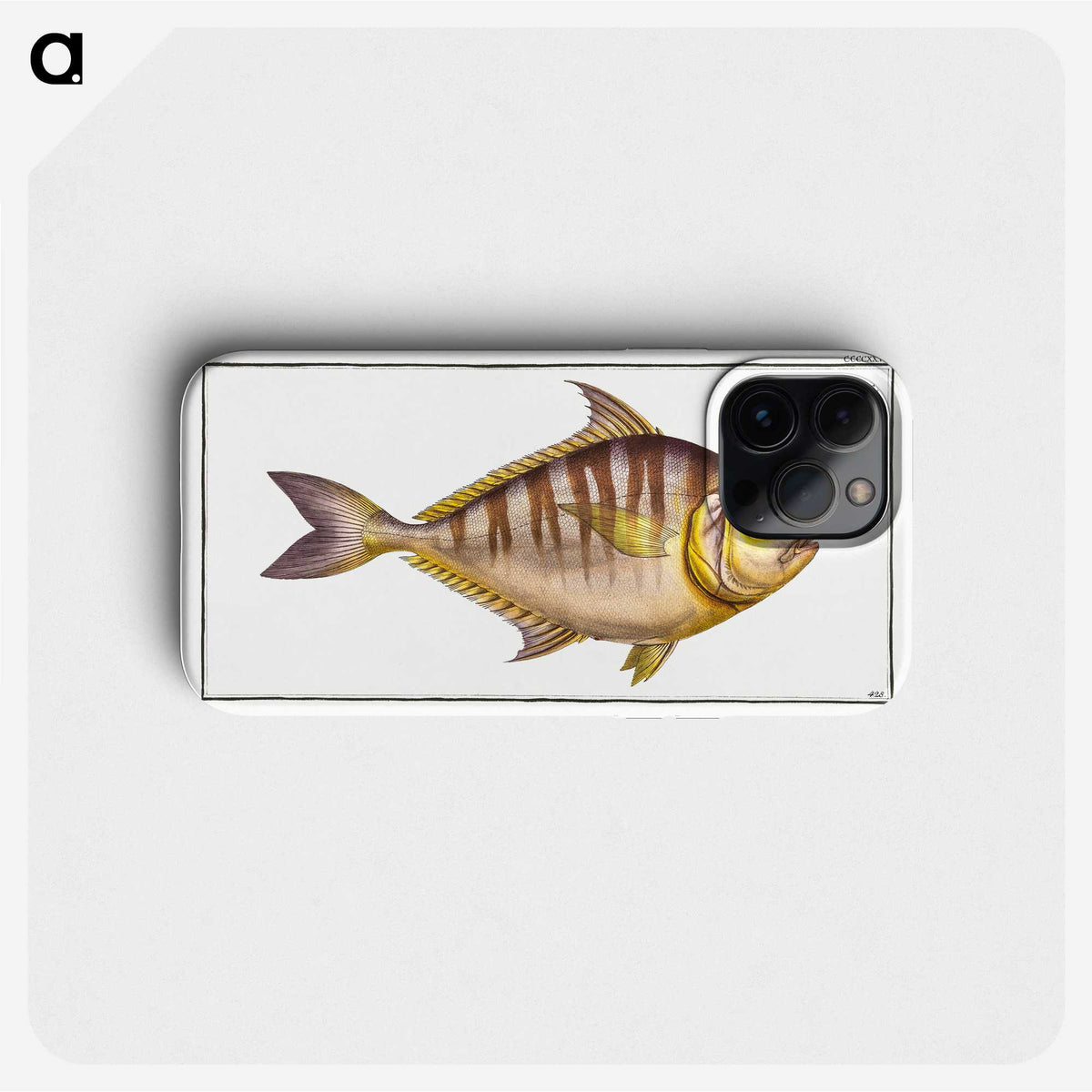 2-51_Ichtyologie-ou-Histoire-naturelle_phone