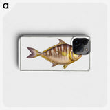 2-51_Ichtyologie-ou-Histoire-naturelle_phone