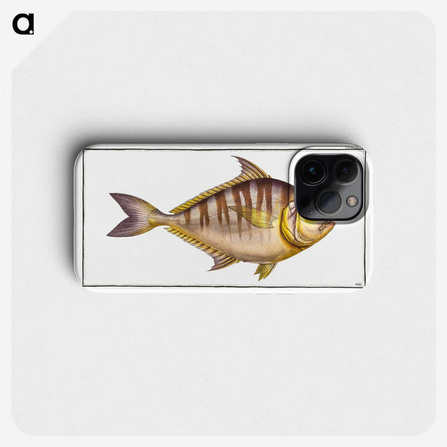 2-51_Ichtyologie-ou-Histoire-naturelle_phone