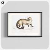 2-51_Indian-Zoology_blk