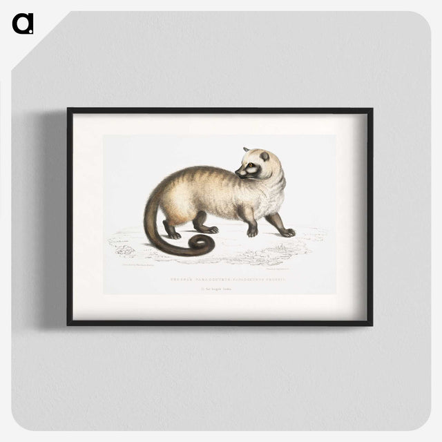 2-51_Indian-Zoology_blk