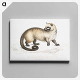 2-51_Indian-Zoology_canvas