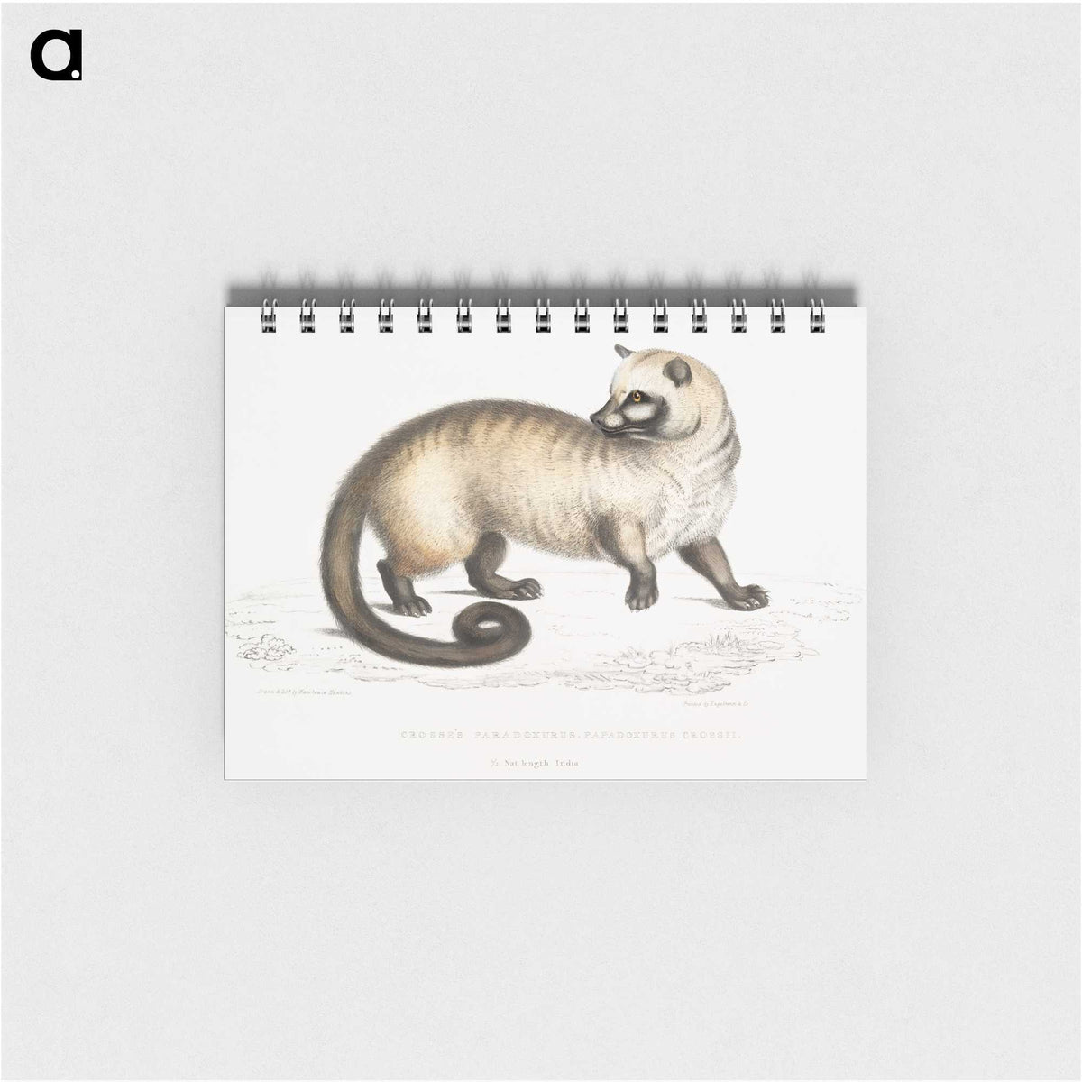 2-51_Indian-Zoology_memo