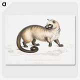 2-51_Indian-Zoology_picture-crop