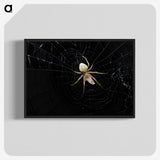 2-51_Insects-Unlocked-Project_blk-crop