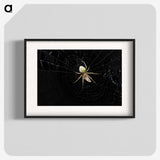 2-51_Insects-Unlocked-Project_blk