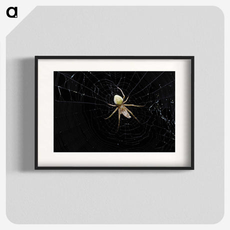 2-51_Insects-Unlocked-Project_blk
