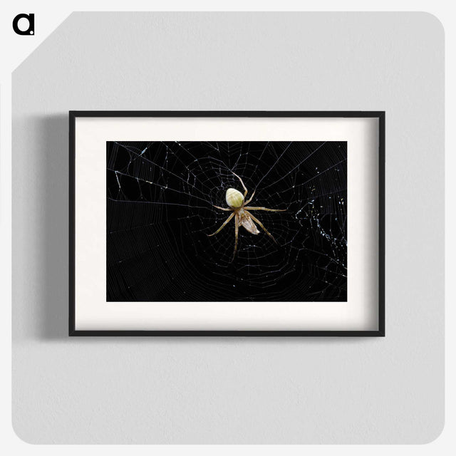 2-51_Insects-Unlocked-Project_blk