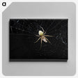 2-51_Insects-Unlocked-Project_canvas