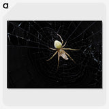 2-51_Insects-Unlocked-Project_picture-crop