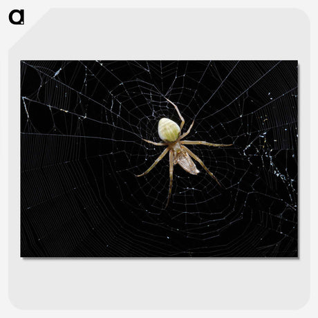 2-51_Insects-Unlocked-Project_picture-crop