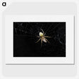 2-51_Insects-Unlocked-Project_picture