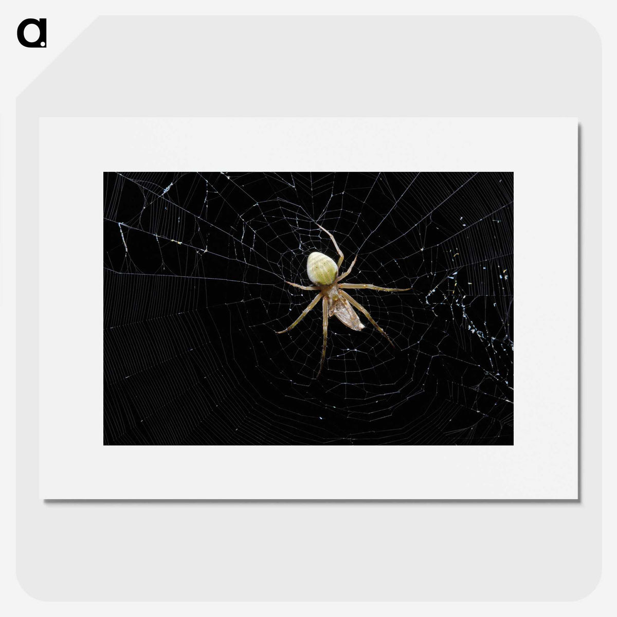 2-51_Insects-Unlocked-Project_picture