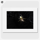 2-51_Insects-Unlocked-Project_picture
