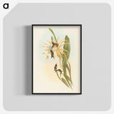 2-51_John-Gould_blk-crop