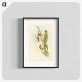2-51_John-Gould_blk
