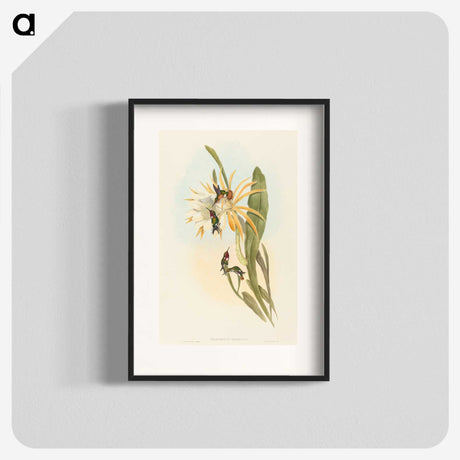 2-51_John-Gould_blk
