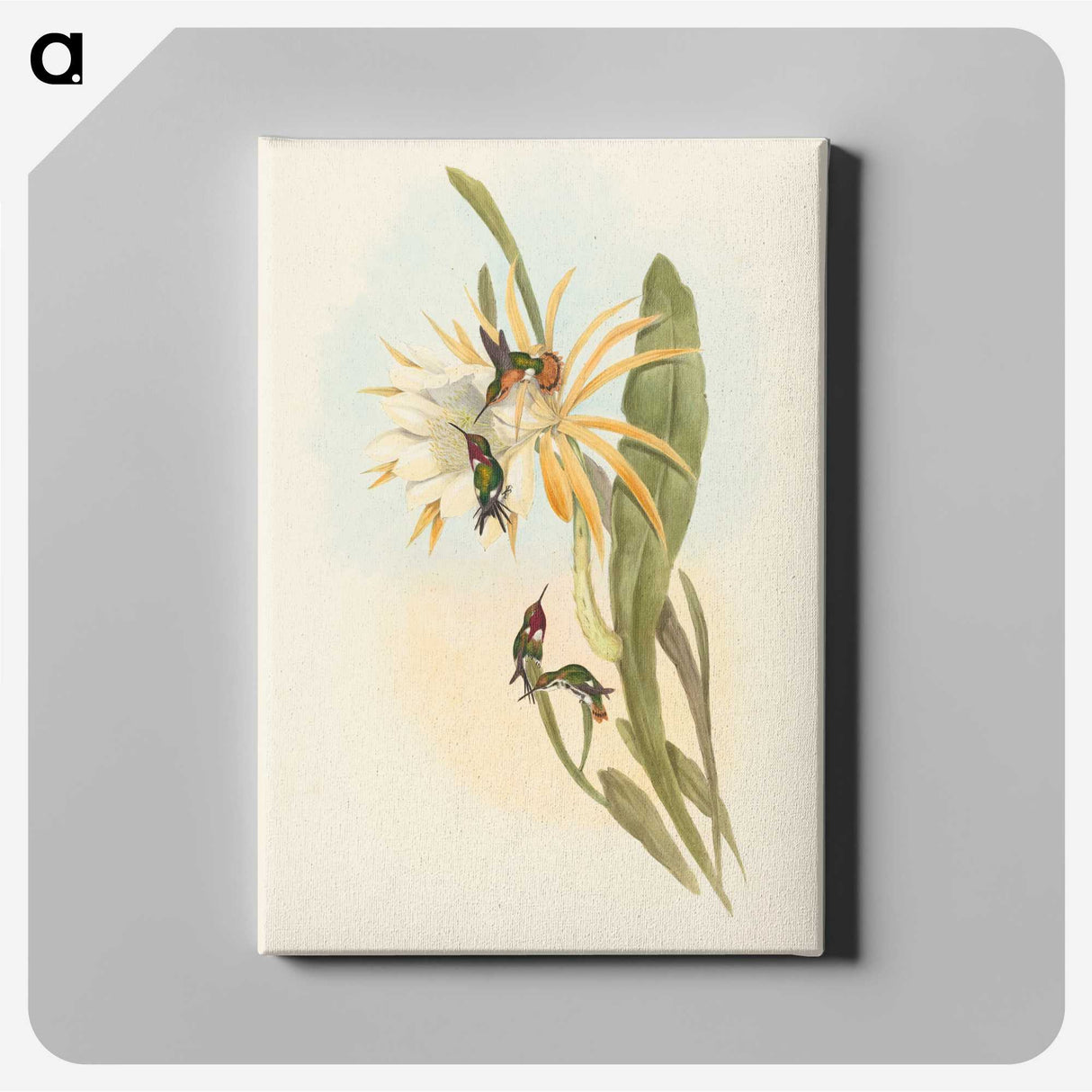 2-51_John-Gould_canvas