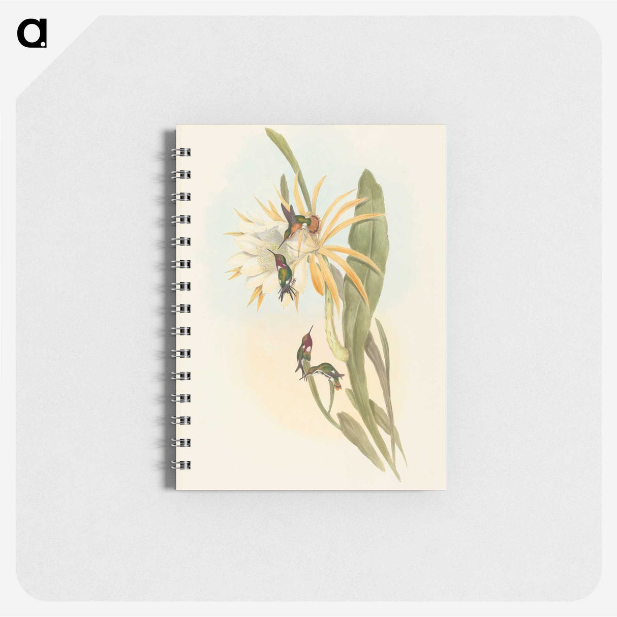 2-51_John-Gould_memo