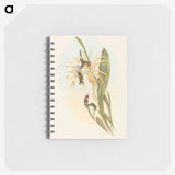 2-51_John-Gould_memo