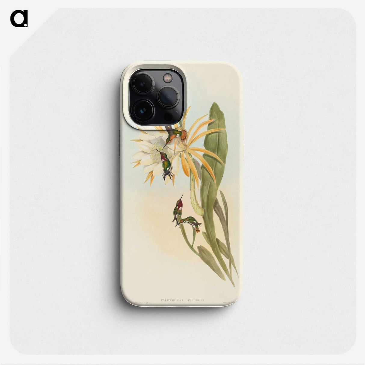 2-51_John-Gould_phone