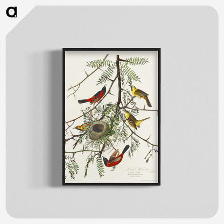 2-51_John-James-Audubon_blk-crop