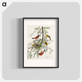 アートポスター-Orchard Oriole
 - ジョン ジェームス オーデュボン Poster.