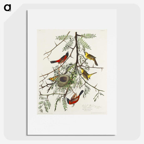 2-51_John-James-Audubon_picture