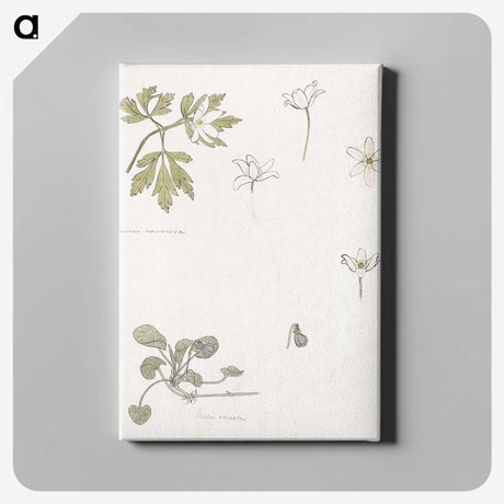 2-51_Julie-de-Graag_canvas
