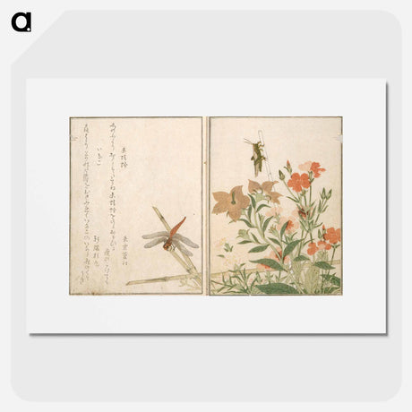 アートポスター-Picture Book of Selected Insects, vol. II - 喜多川 歌麿 Poster.