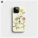 2-51_Maria-Sibylla-Merian_phone