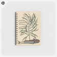 2-51_Mark-Catesby_memo