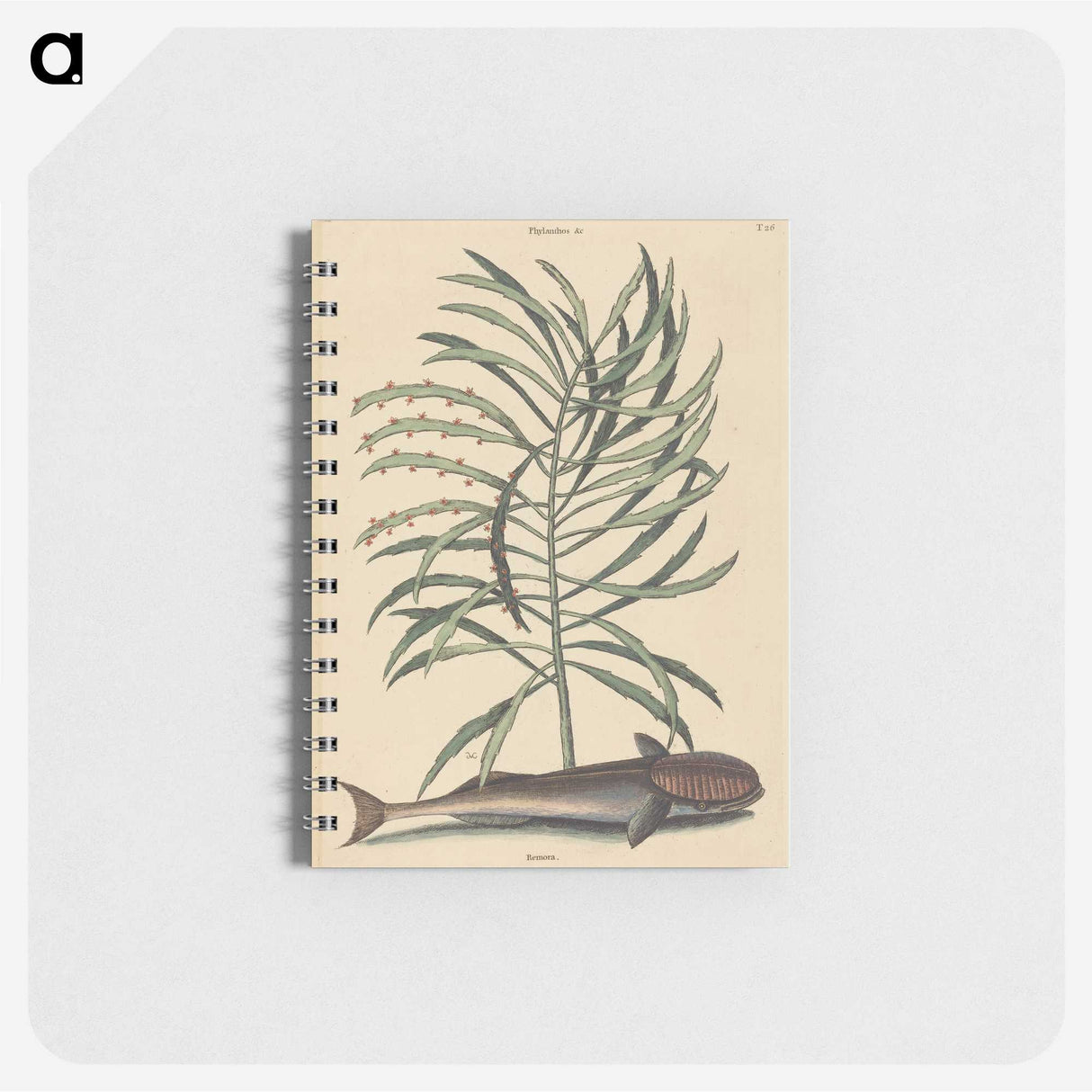 2-51_Mark-Catesby_memo