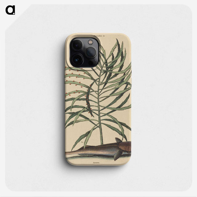 2-51_Mark-Catesby_phone