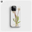 2-51_Mary-Vaux-Walcott_phone