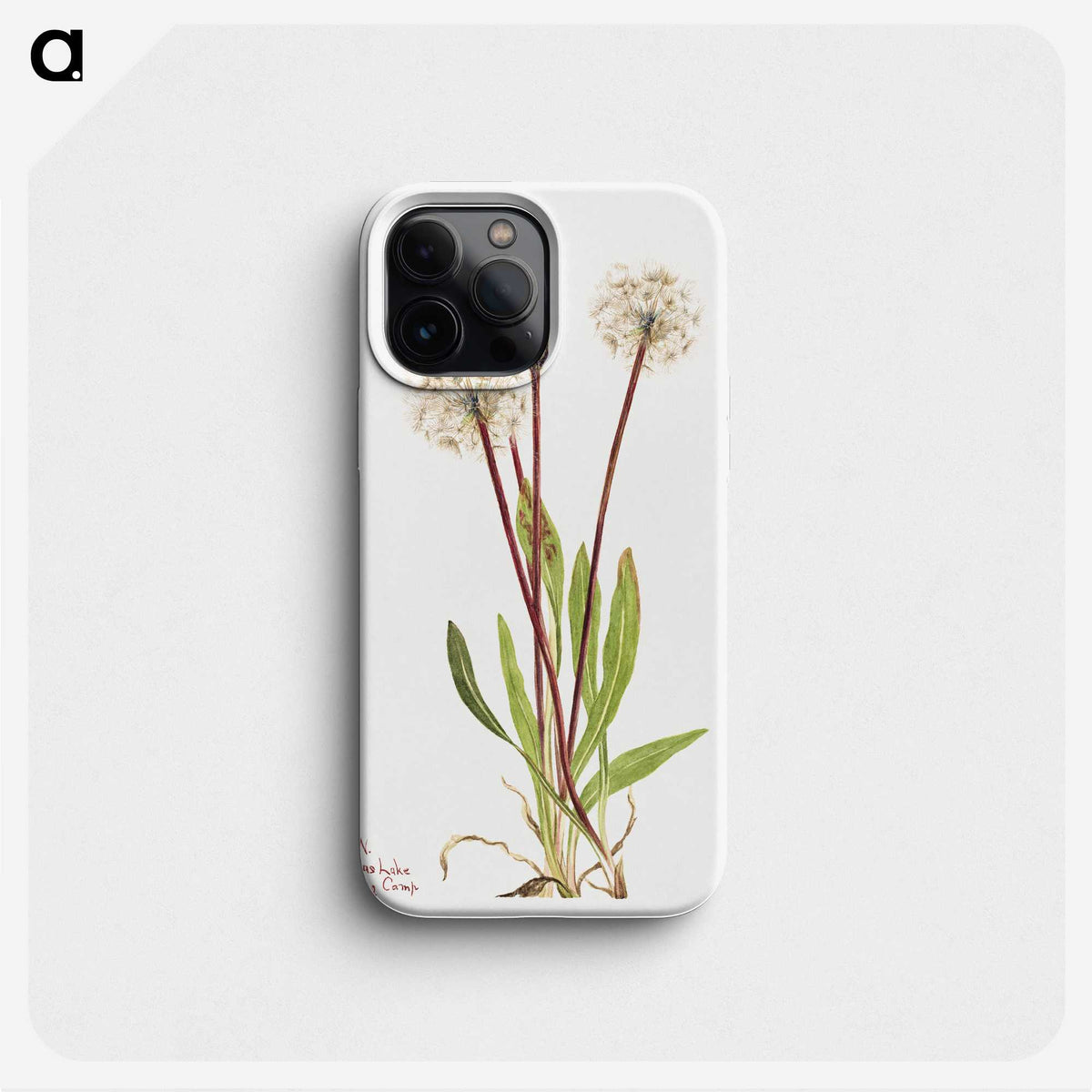 2-51_Mary-Vaux-Walcott_phone