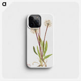2-51_Mary-Vaux-Walcott_phone