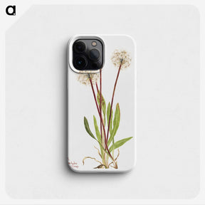 2-51_Mary-Vaux-Walcott_phone
