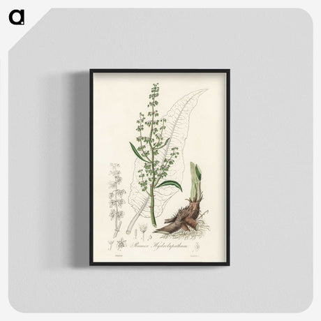2-51_Medical-Botany_blk-crop