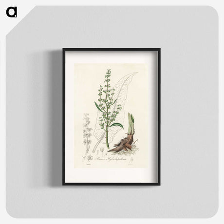 2-51_Medical-Botany_blk