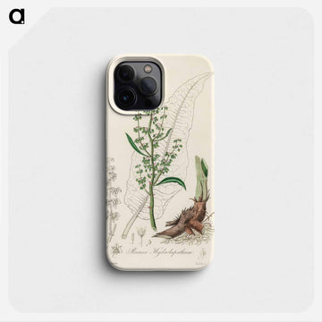 Rumex hydrolapathum
 - 薬用植物学 Phone Case.