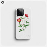 Rosa Indica Stelligera - Pierre Joseph Redouté Phone Case.