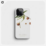 2-51_Pomona-Italiana_phone